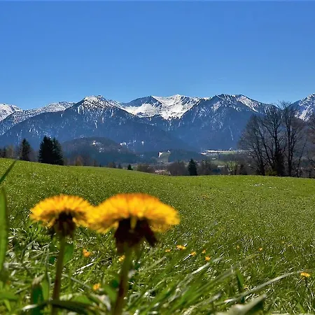 Gaestehaus Sonnenbichl 3* Fischbachau