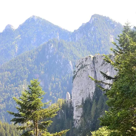Casa de hóspedes Gaestehaus Sonnenbichl Fischbachau