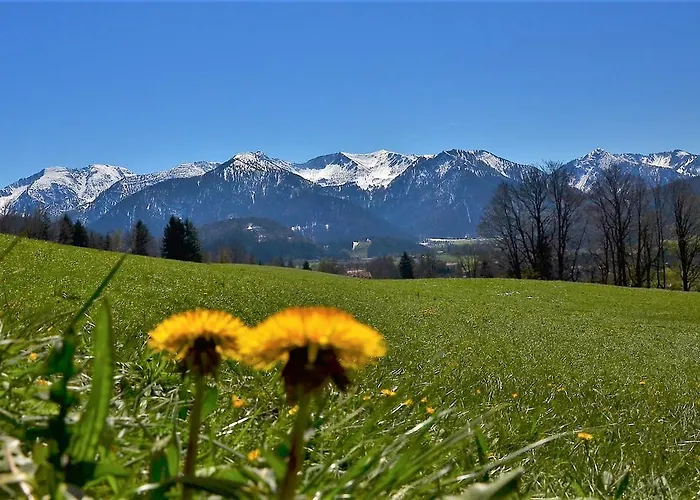 Gaestehaus Sonnenbichl 3* Фишбахау